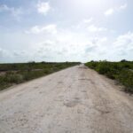 listing image thumbnail with ID 23697