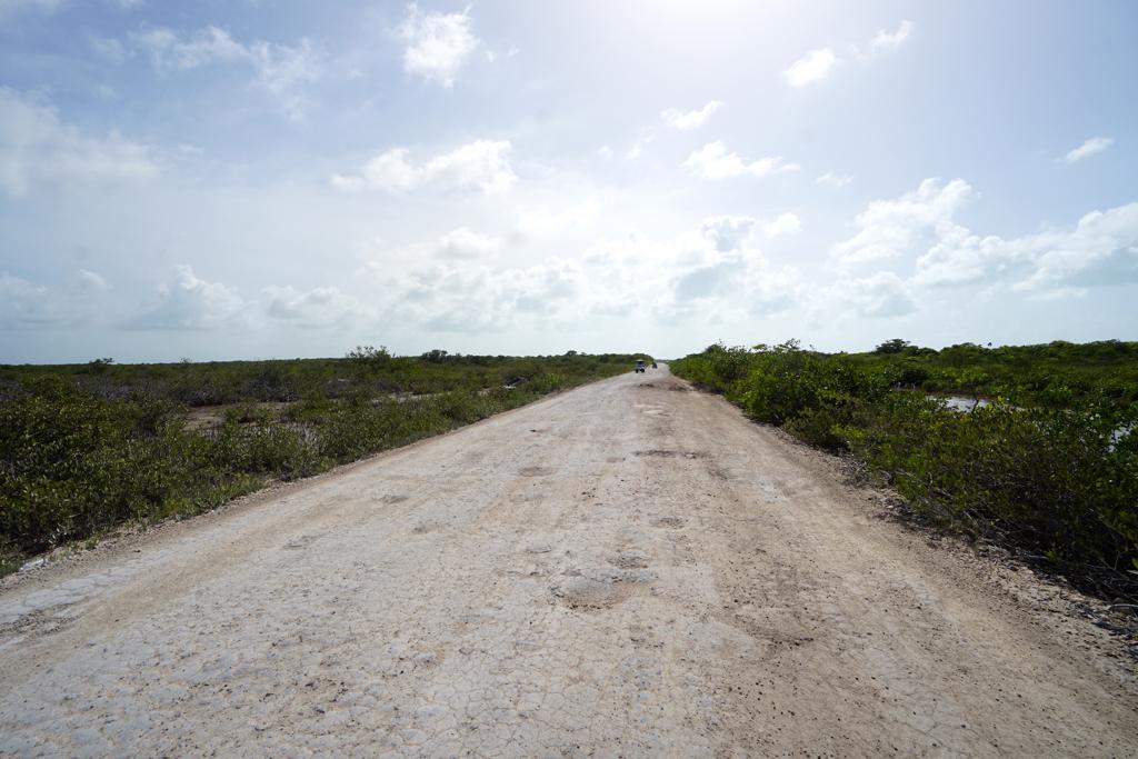 listing image with ID 23697