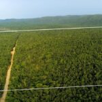 listing image thumbnail with ID 23233