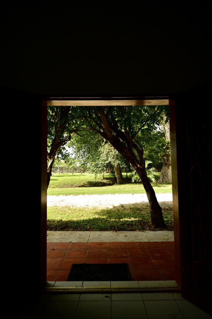 listing image with ID 22921