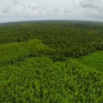 listing image thumbnail with ID 23324