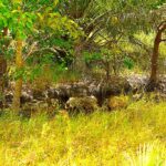 listing image thumbnail with ID 22786