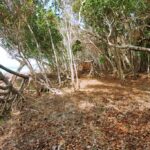 listing image thumbnail with ID 21918