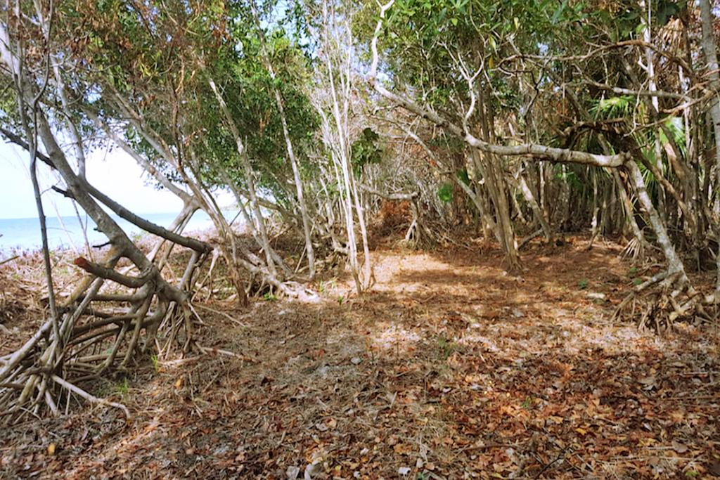 listing image with ID 21918