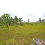 listing image thumbnail with ID 24166