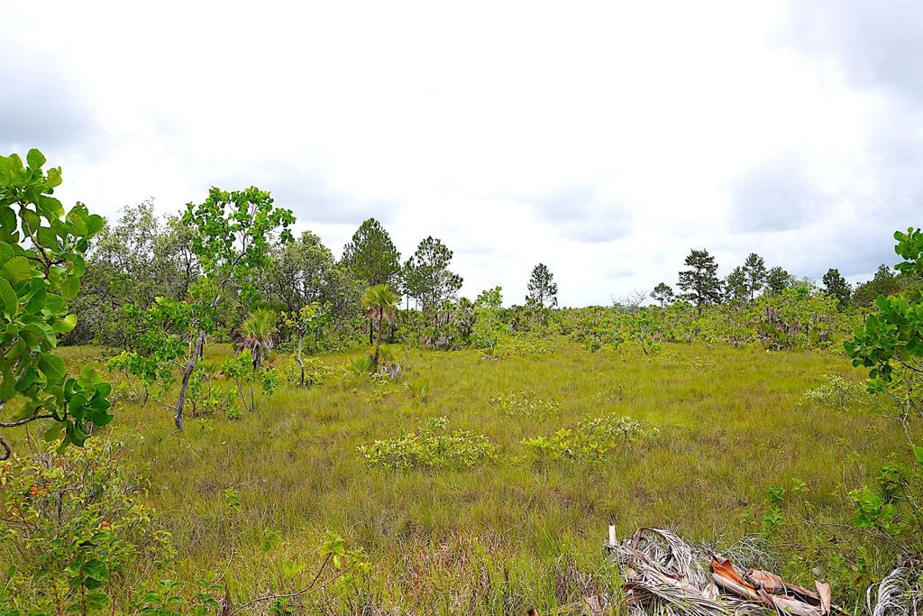 listing image with ID 24166