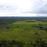 listing image thumbnail with ID 22504