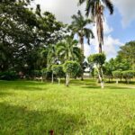 listing image thumbnail with ID 22912