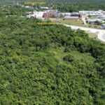 listing image thumbnail with ID 22802