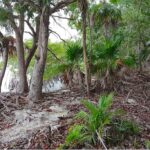 listing image thumbnail with ID 21863