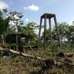 listing image thumbnail with ID 21833