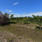 listing image thumbnail with ID 24883