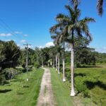 listing image thumbnail with ID 20024