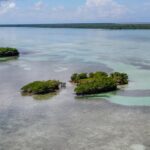 listing image thumbnail with ID 22995