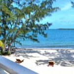 listing image thumbnail with ID 21568