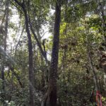 listing image thumbnail with ID 27867