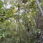 listing image thumbnail with ID 27865