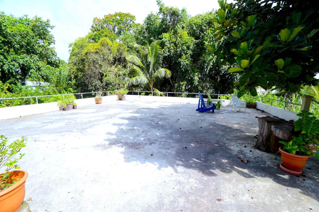 listing image with ID 28324