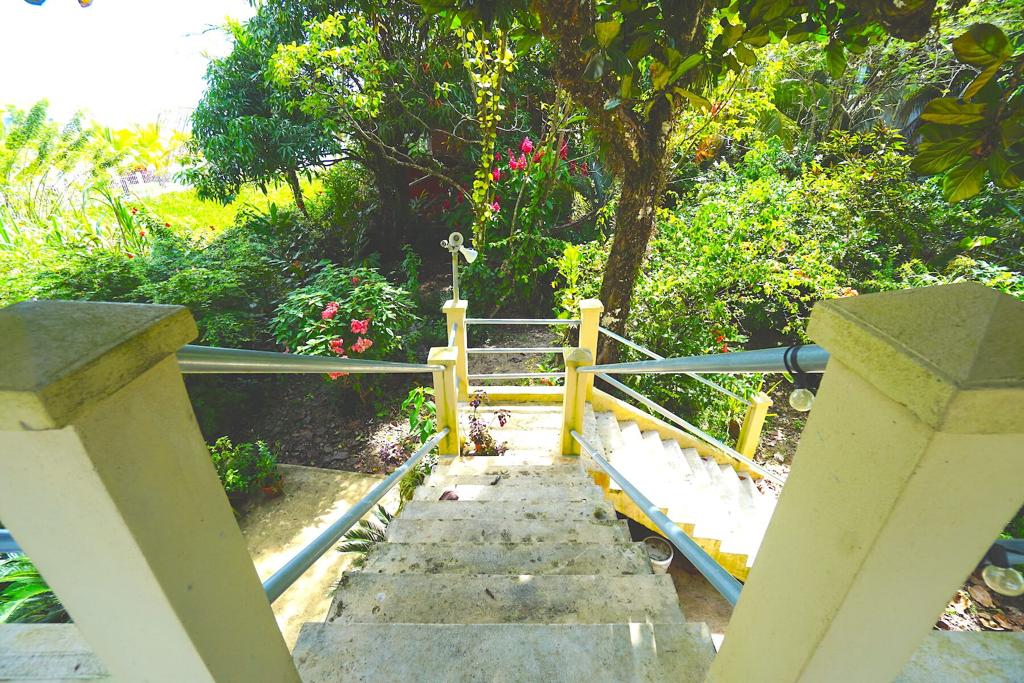 listing image with ID 28322