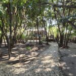 listing image thumbnail with ID 27833