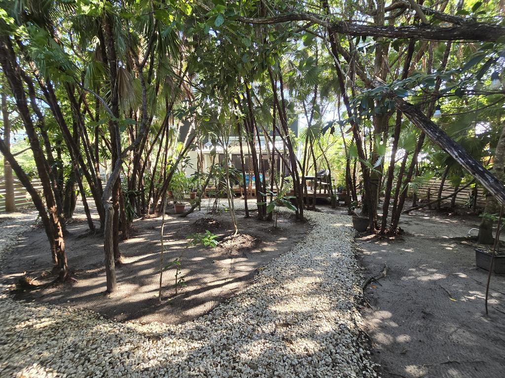 listing image with ID 27833