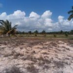 listing image thumbnail with ID 28124