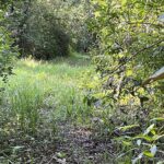 listing image thumbnail with ID 27864