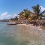 listing image thumbnail with ID 28125