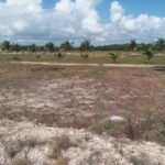 listing image thumbnail with ID 28127