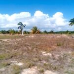 listing image thumbnail with ID 28008