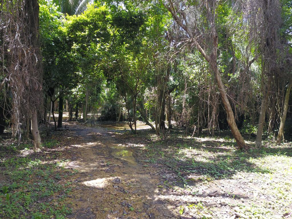 listing image with ID 27517