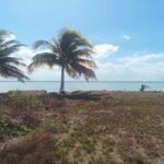 listing image thumbnail with ID 28006