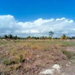 listing image thumbnail with ID 28007