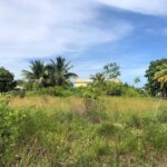 listing image thumbnail with ID 28336