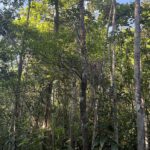 listing image thumbnail with ID 27872