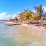 listing image thumbnail with ID 28014