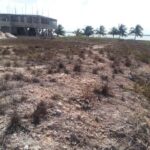 listing image thumbnail with ID 28129