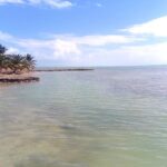 listing image thumbnail with ID 28013