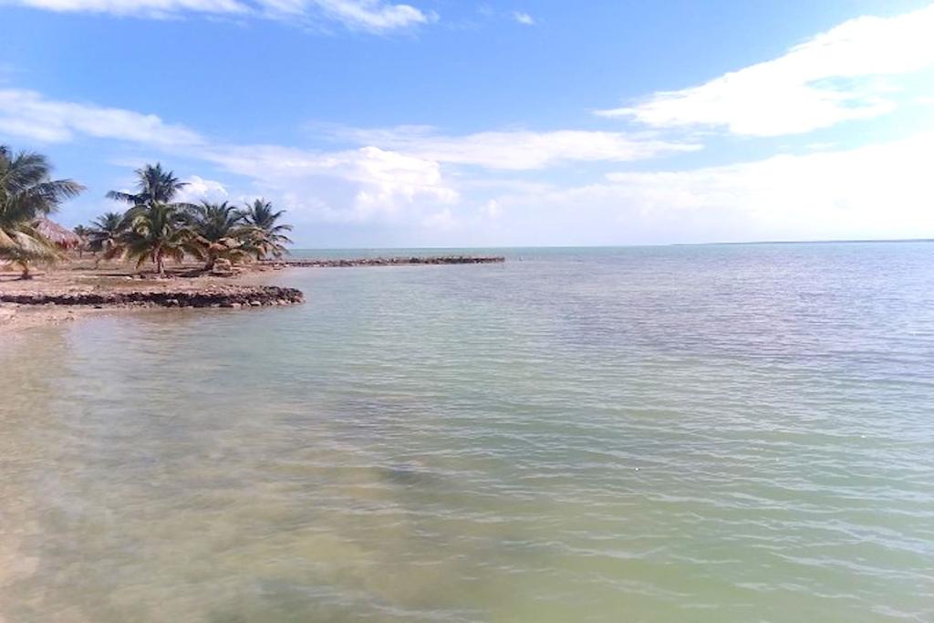 listing image with ID 28013