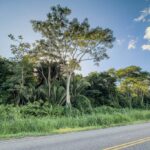 listing image thumbnail with ID 29411