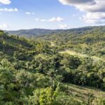 listing image thumbnail with ID 29402