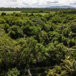 listing image thumbnail with ID 28980