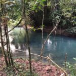 listing image thumbnail with ID 28876