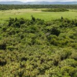 listing image thumbnail with ID 28754