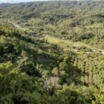 listing image thumbnail with ID 29401