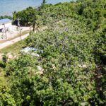 listing image thumbnail with ID 28975