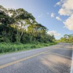 listing image thumbnail with ID 29410