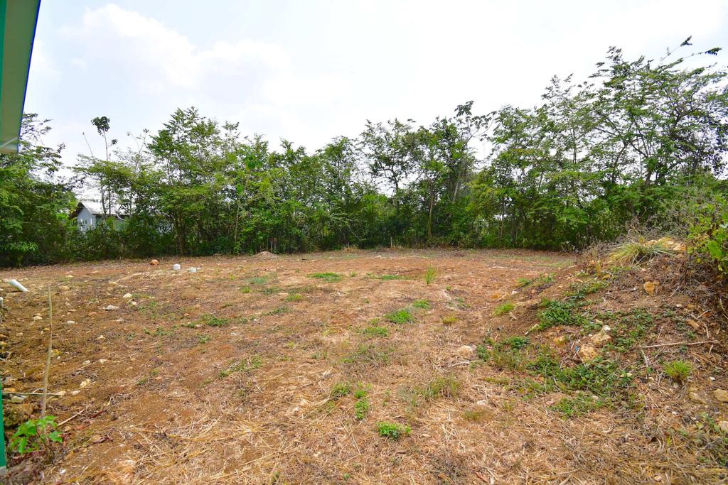 listing image with ID 29150