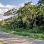 listing image thumbnail with ID 29406