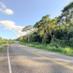 listing image thumbnail with ID 29407